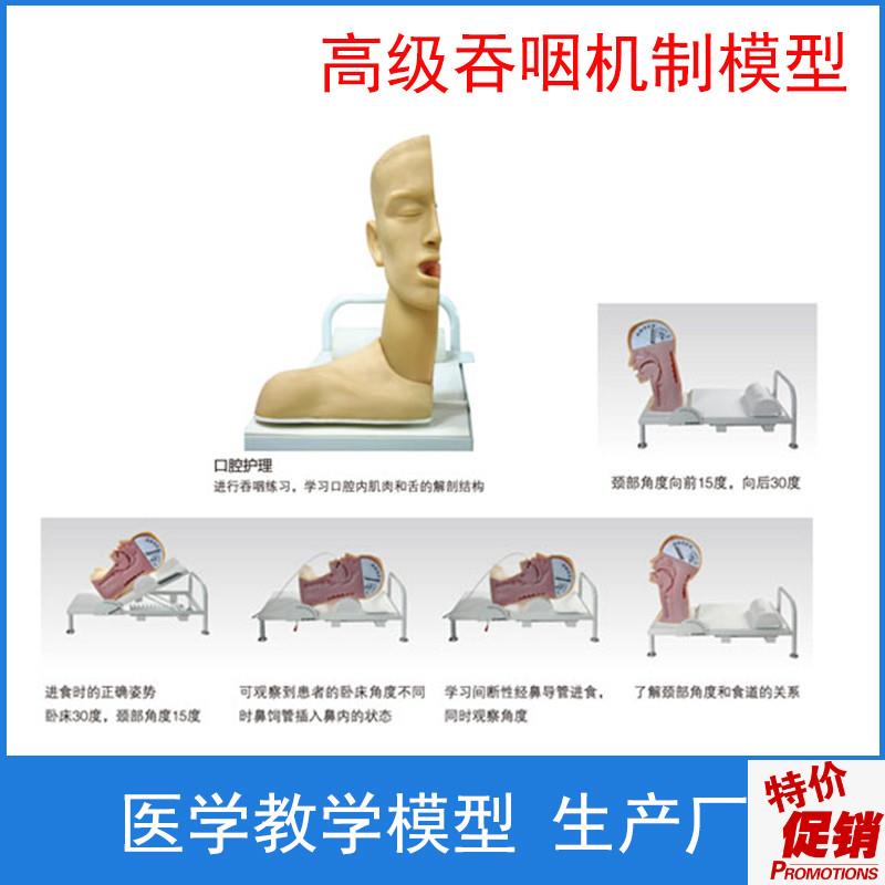 高级吞咽机制模型吞咽机制z训练模型误咽紧急处理训练模型