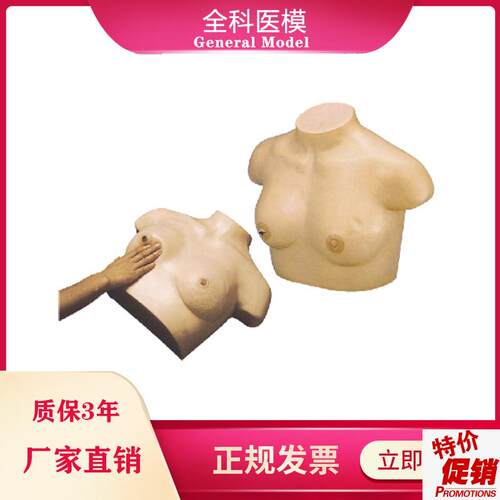 乳腺视诊与触诊模型乳房检查临床教学女性S催乳训练诊断模型