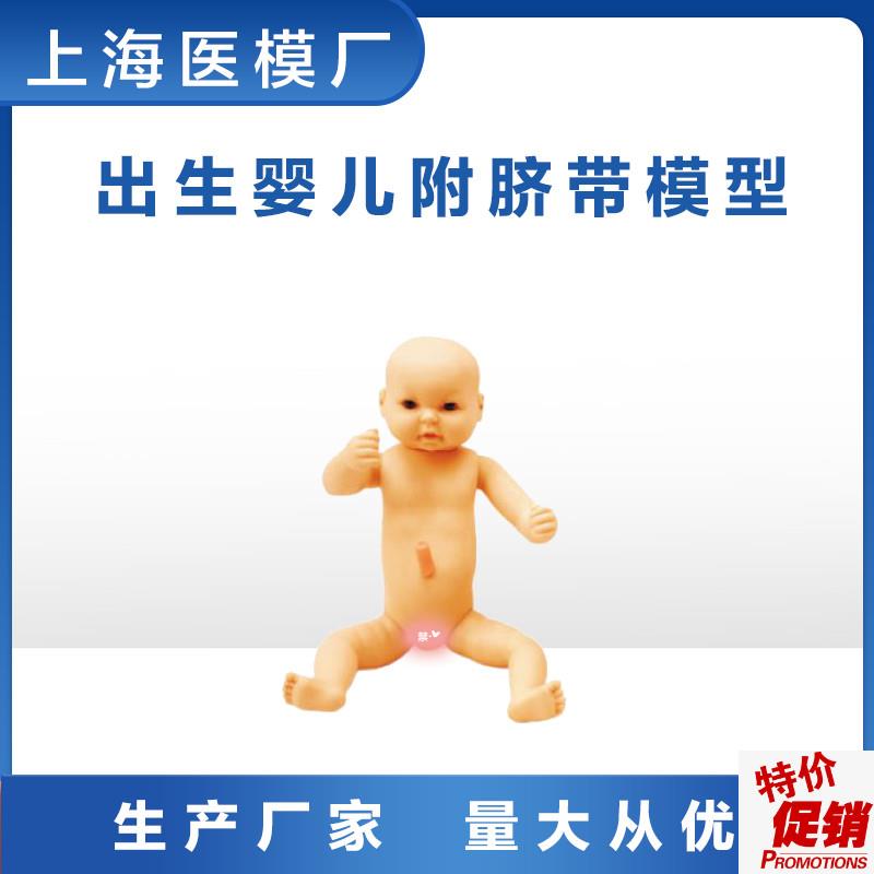 妇婴训练护理高级出生婴儿附脐带模型皮肤柔软W男婴女婴任选