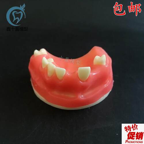 牙科材料红色上颌种植模型可练习切开缝合排龈教W学模型软硅胶