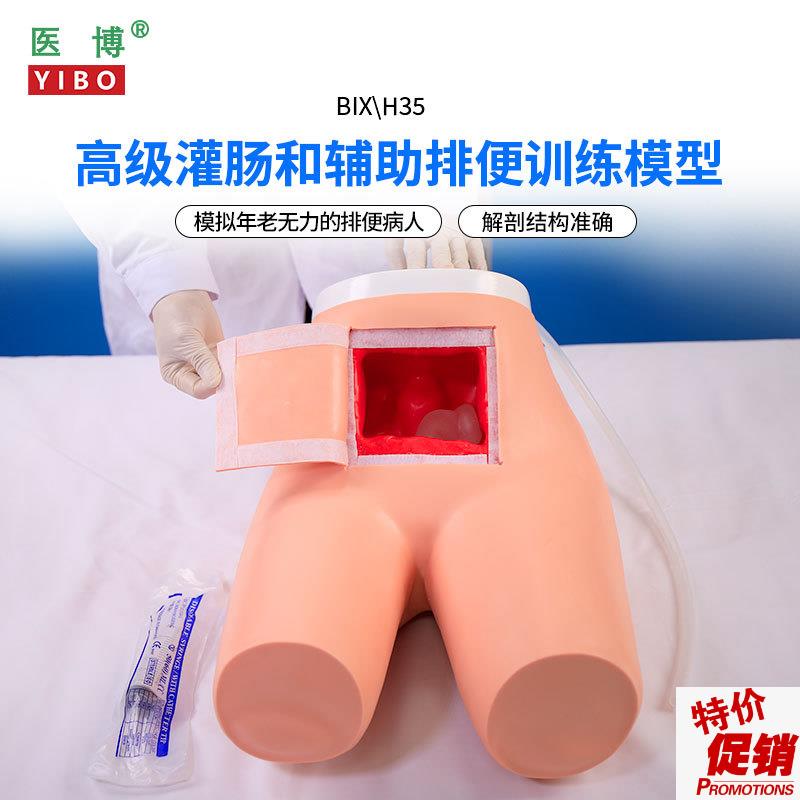 医博BIX-H35高级灌肠模型辅v助排便和及灌肠训练习模型医学用灌肠