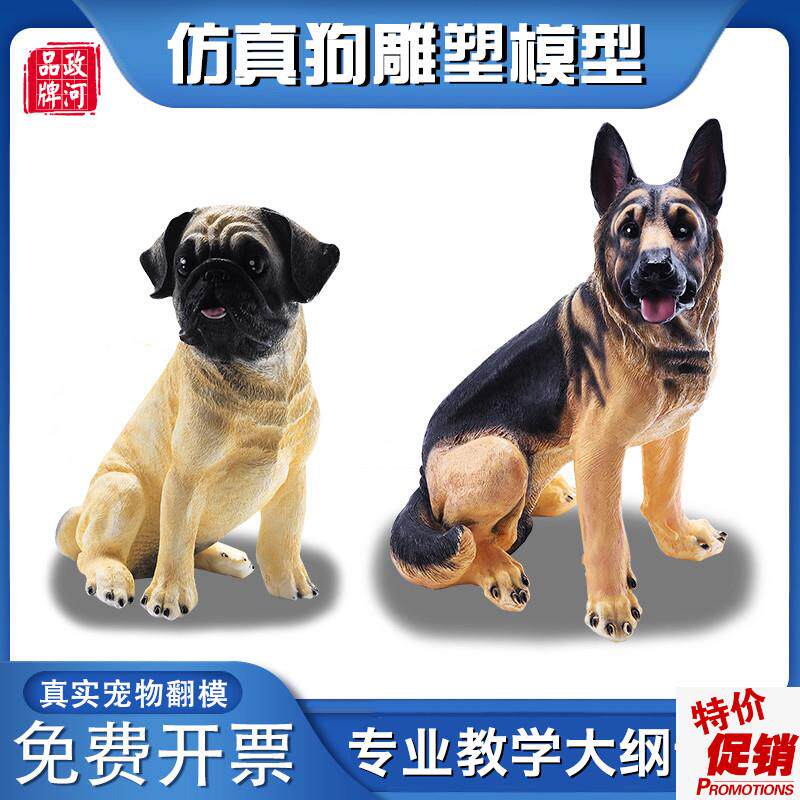 政河狗狗模型宠物店摆件医院w教学用儿童早教玩具仿真雕塑艺术绘