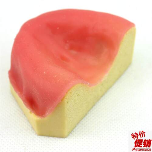 ENOVO颐诺口腔即刻p种植模型仿真下颌骨附牙龈模型种植牙训练培训