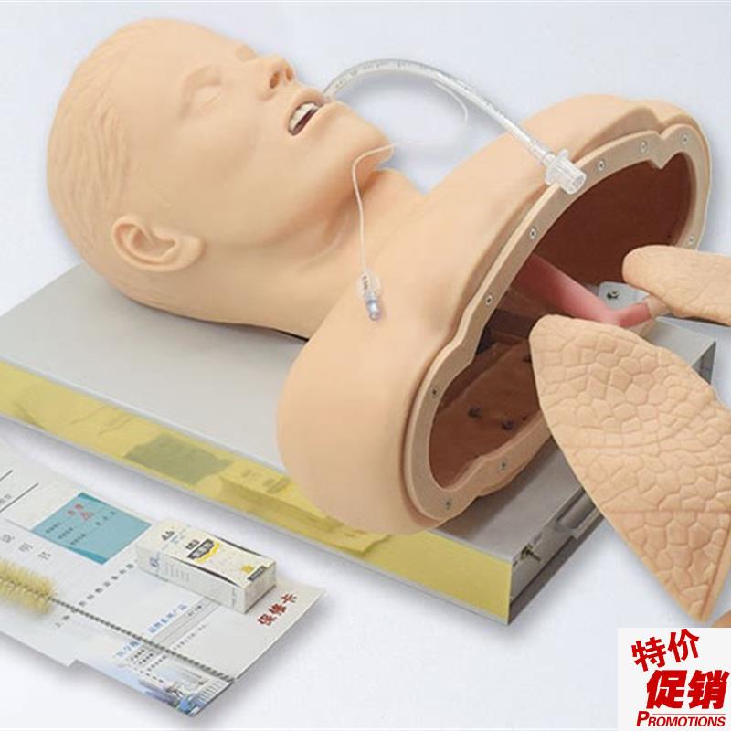 人体气管插管模型带喉部解剖结C构成人气道插管训练模型J50