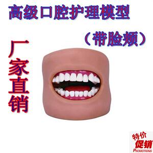 口腔清洁模型(带脸颊)口腔清洁模型保健L模型口腔牙护理刷牙练习