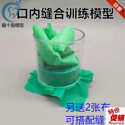 口腔缝合练习模型牙医执考口内缝合术操作手术切U开缝合粘膜实训