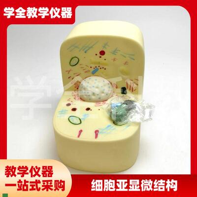 细胞亚显微结构模型初高中生物A实验器材中学教学仪器实验器材