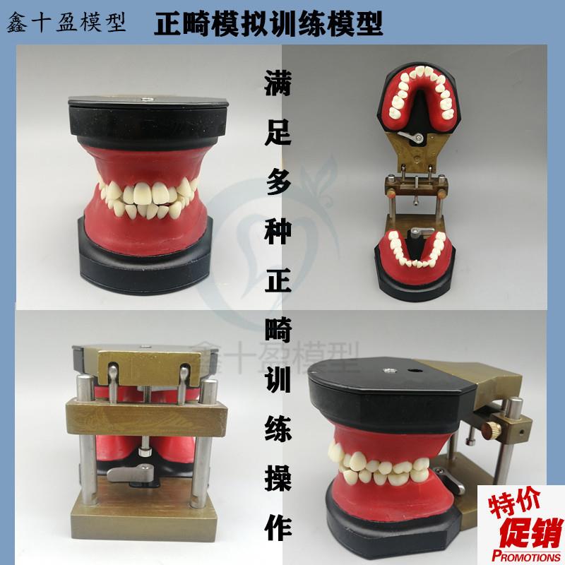 牙科正畸训练模型牙齿矫正t练习弓丝弯制Typodont可变蜡堤包邮
