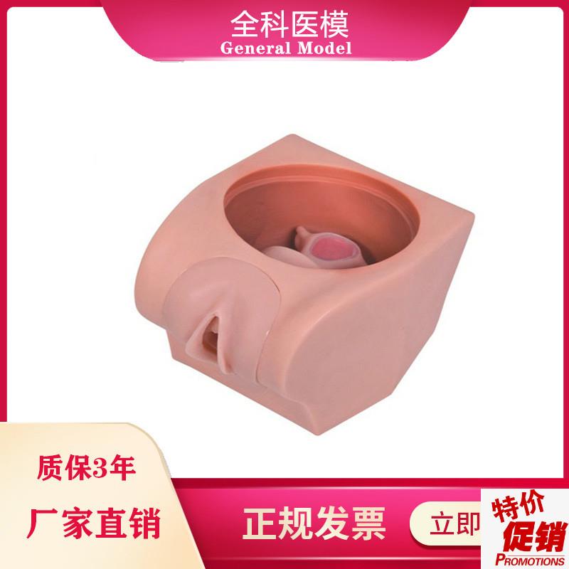 计划生育教育模型宫内避孕器H上环训练指导道具模具