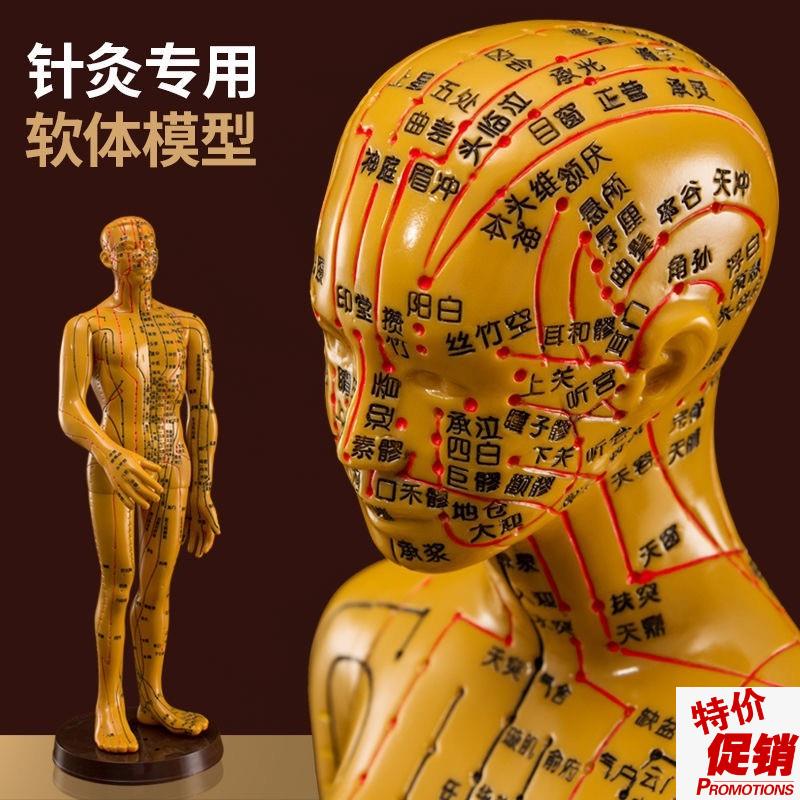 针灸穴位人体模型人全身中医十二经络F小皮人经络图穴位模特可扎