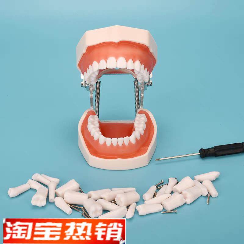 牙科材料树脂牙口腔模型种植离体粒D备牙模型根管排龈开髓模型包,美容美体仪器,口腔护理设备礼盒,淘宝优惠券,粉丝福利购,淘宝优惠卷