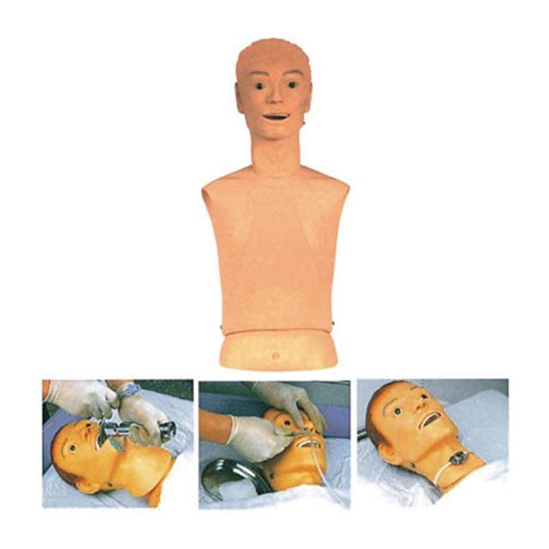 高级鼻胃管与气管m护理模型JY/H70-1佳悦科教通