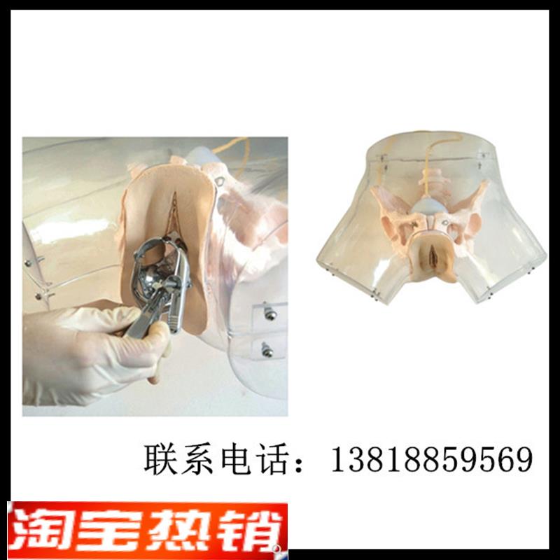 高级透明刮宫模型人流r刮宫训练模型计划生育模具妇产科教学模型