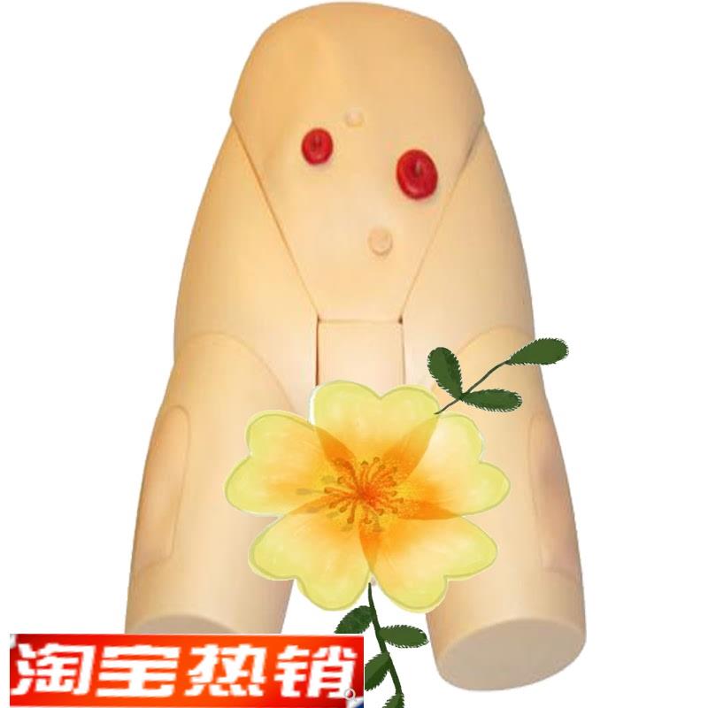 高级男性导尿模型JxY/H17E佳悦科教通