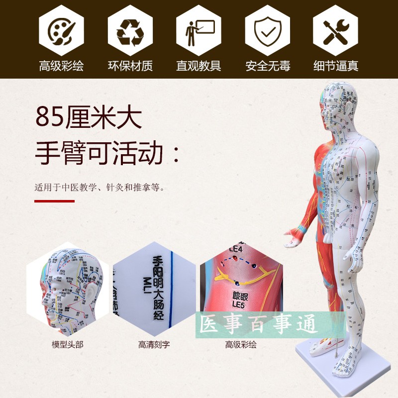 高清85cm针灸穴位经络人体x模型模特超清晰中医用家用教学针灸模