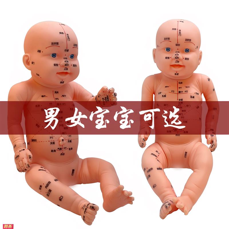 小儿推拿模型家政月嫂培训婴幼儿护理全身穴位仿真练手教学娃娃