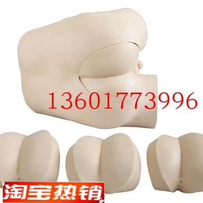 直肠指诊检查q模型前列腺触诊检查模型