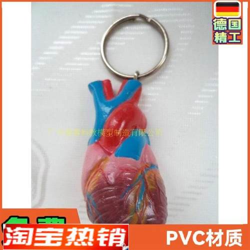 心脏钥匙扣e仿真心脏小型人体心脏钥匙扣模型人体内脏钥匙扣