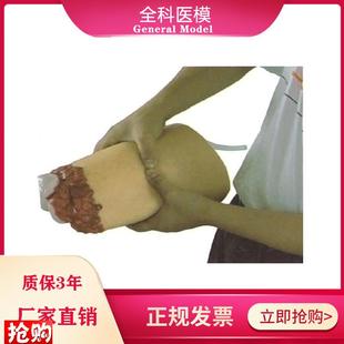 下肢外伤断肢止血模型人体大腿断肢包扎止血模具医教.学培训模型