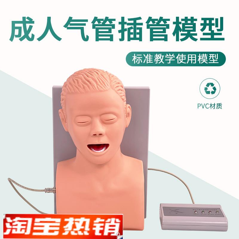 J5S成人气g管插管模型电子人体气管插管训练模型(带报警)医学用