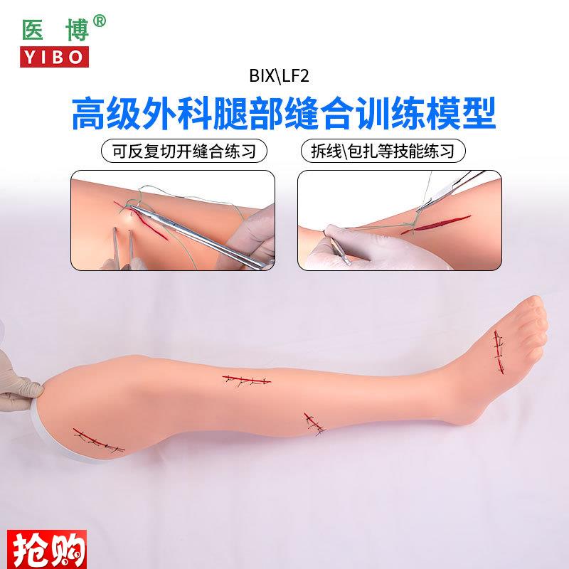 医博BIX-LF2高级外科手臂、腿部缝合训练模型切开缝合包W扎止血训
