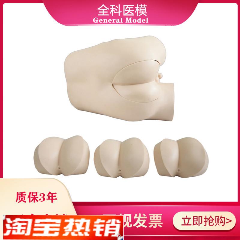 高级直肠指诊检查模型前列腺触诊模型肛门N外用检查诊断诊治模型
