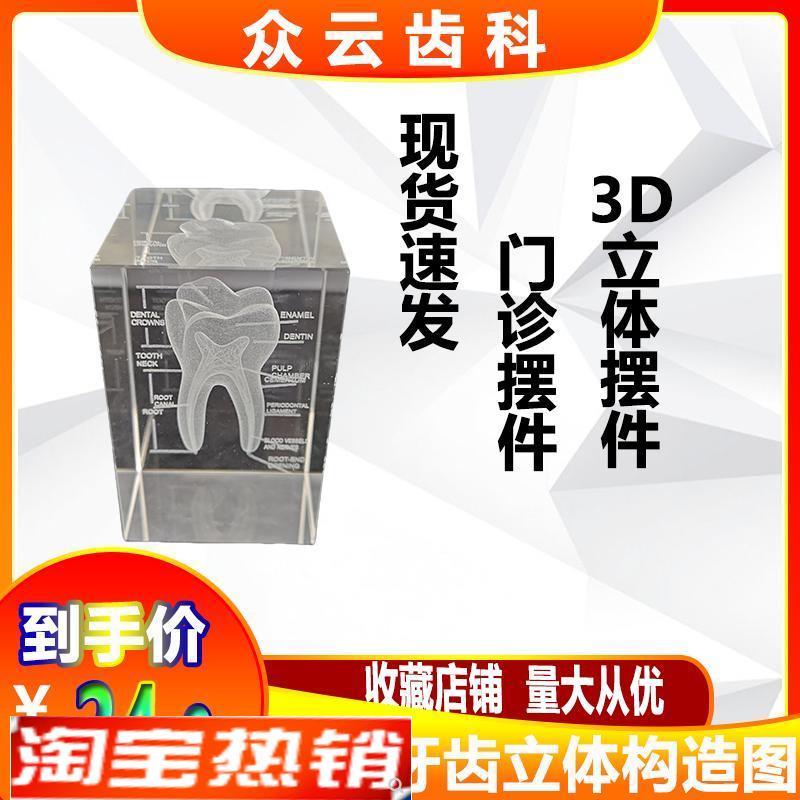 水晶牙齿模c型内雕口腔牙科医学院送医生礼物牙医教学纪念礼品摆