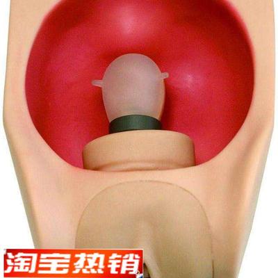 高级妇科女性宫内L避孕练习模型