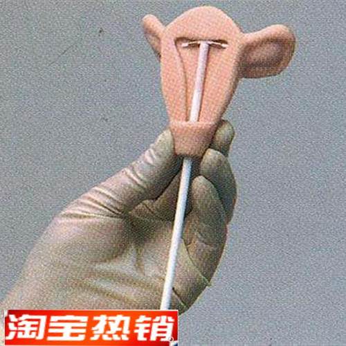 高级宫内避孕训练模型s女性宫内避孕器练习模型计生避孕模型