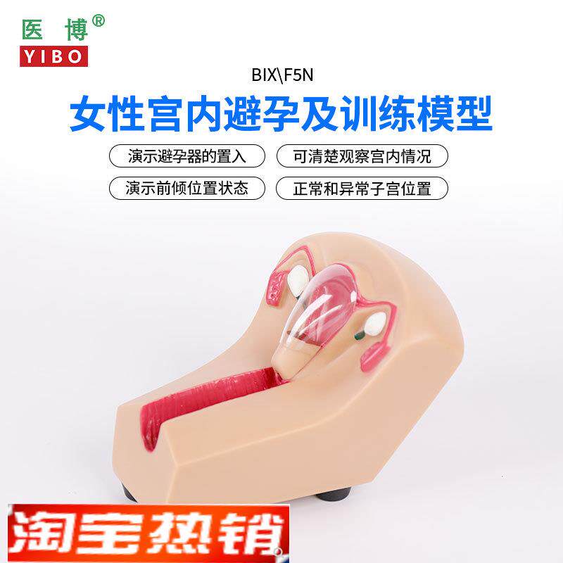 医博女性宫内避孕器训练模型子宫生殖器官教学模具上环取环练习模