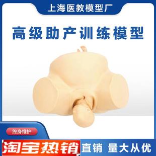 助产训练模型人体l模型分娩助产练习模型胎儿模型妇产科训练