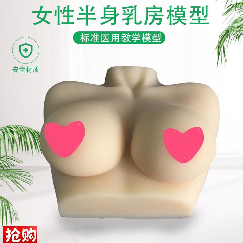 女性乳房a模型仿真硅胶催乳师培训教学教具女性乳房模型人体模型