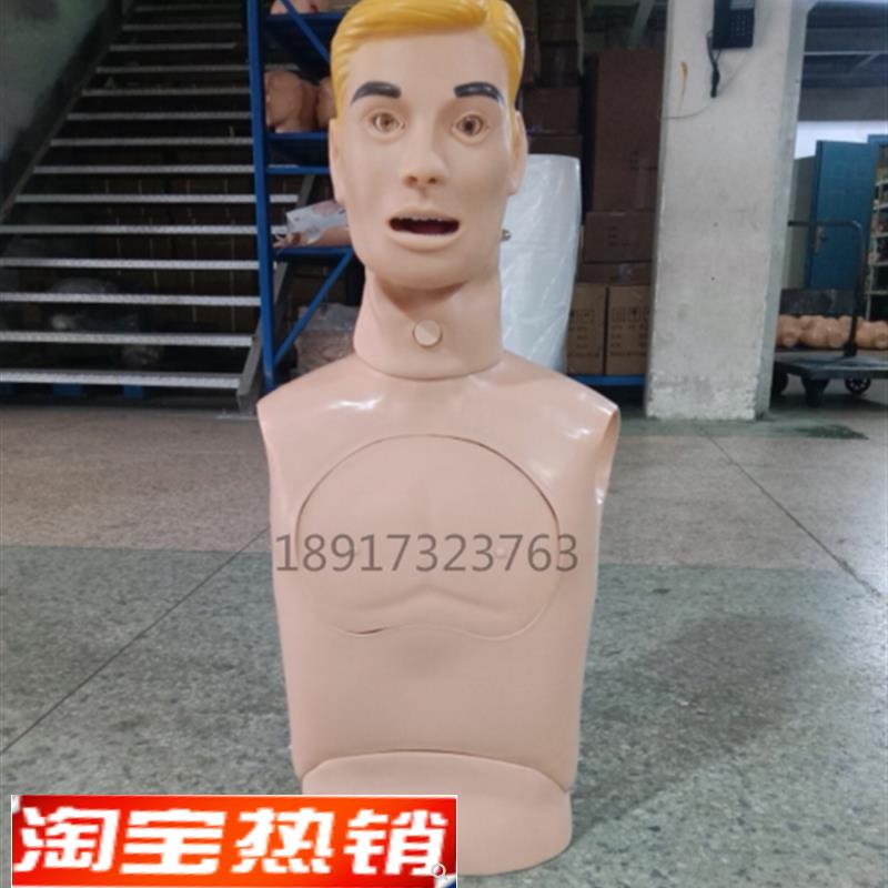 鼻胃管与气管护理模d型成人上半身鼻饲洗胃吸痰插管训练模型