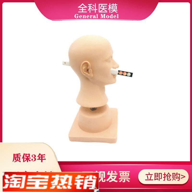 高级耳诊断模型正常v病变的鼓膜模块耳内检查模型