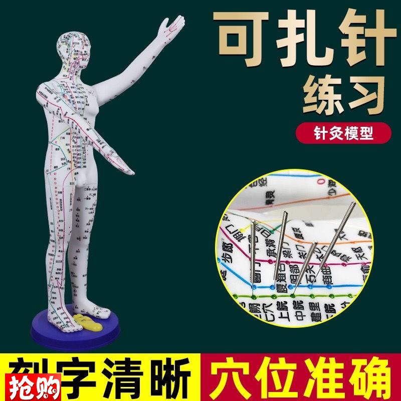 董氏奇穴b人体模型仿真大号中医针灸可扎针十二经络铜人全身穴位
