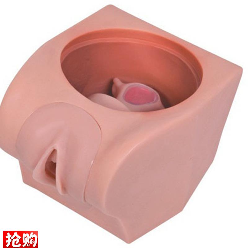 高级计划生育教育模型
