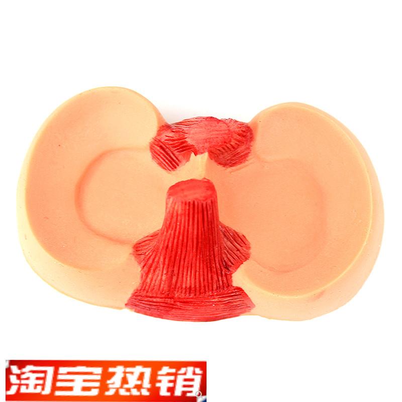 ENOVO颐g诺膝关节关节半月板缝合模型关节镜微创膝盖半月板手术