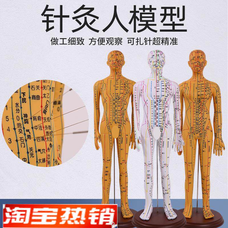 高清中医针灸穴位人体模型v经络图人体穴位模型人全身小人按摩教