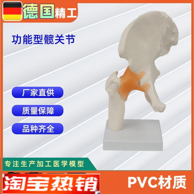 功能型髋关节模型人体骨P骼模型教学模型