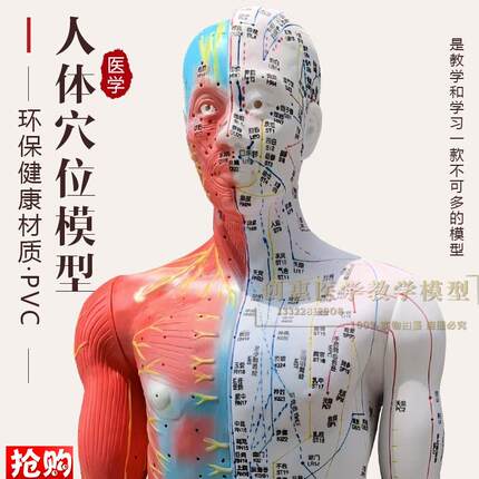 超清刻字针灸e人体穴位模型经络通中医教学美容模特85cm男人模型