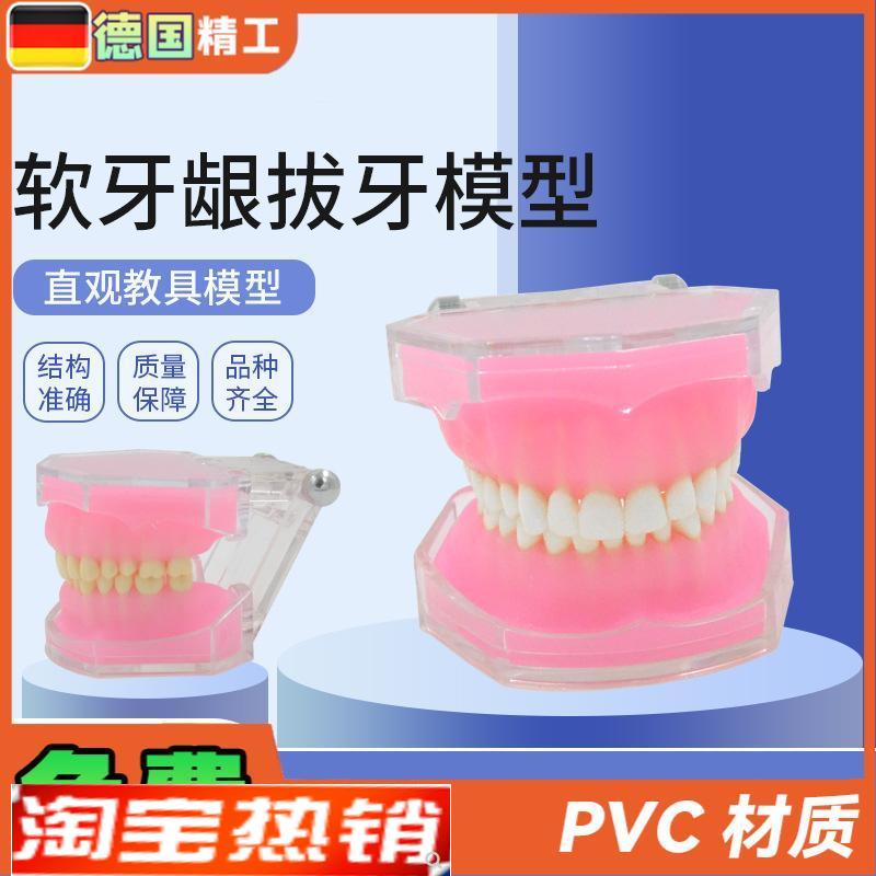 德国软牙龈拔牙模型牙科牙齿拔牙模型I全口可拆卸牙模型软牙龈
