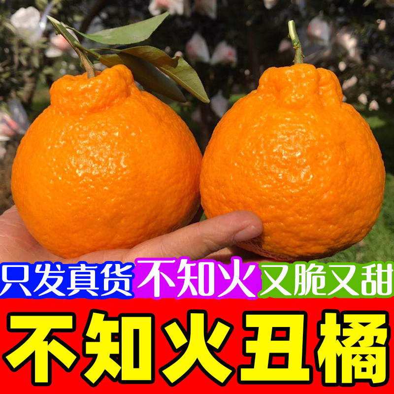 四川正宗丑橘不知火丑柑非春见耙耙柑新鲜水果整箱包邮