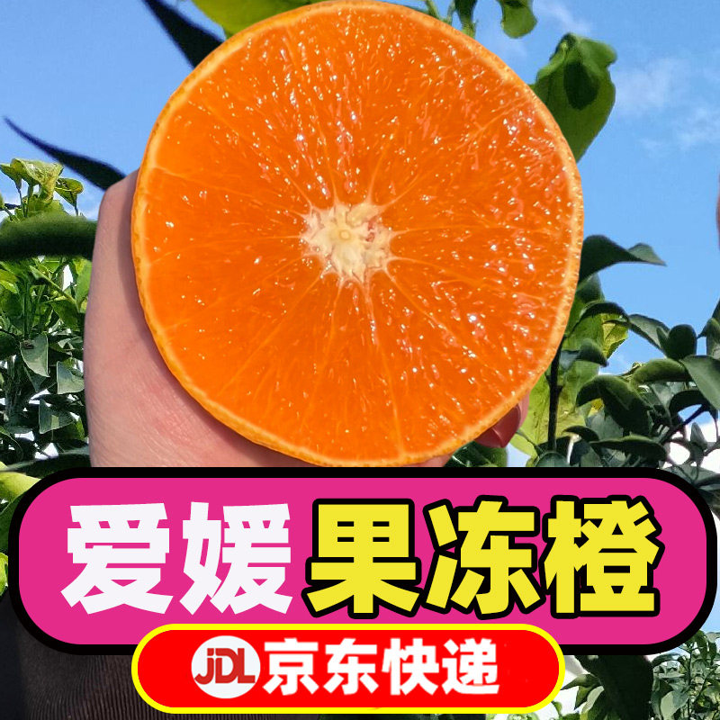 【京东快递】正宗四川爱媛果冻橙新橙子多汁水果整箱包邮