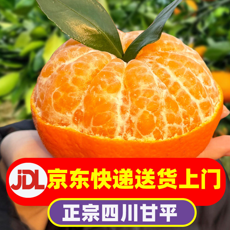 【京东快递送货上门】四川甘平柑橘皇后当季新鲜现摘正宗水果,水产肉类/新鲜蔬果/熟食,桔子,淘宝优惠券,粉丝福利购,淘宝优惠卷