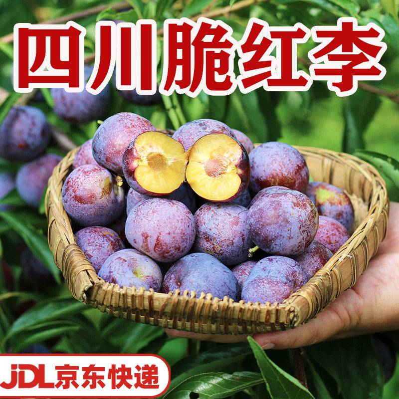 【京东快递】四川脆红李小脆红李子应季水果黄肉脱骨非青脆李
