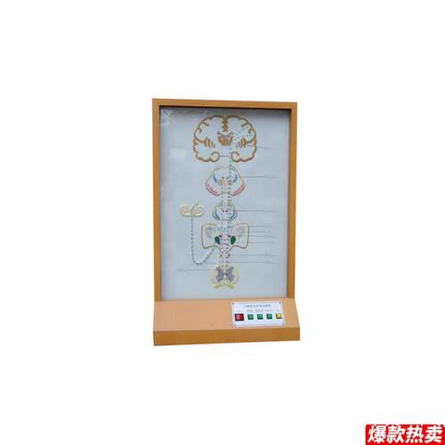平衡觉传e导电动模型电动平衡觉传导模型