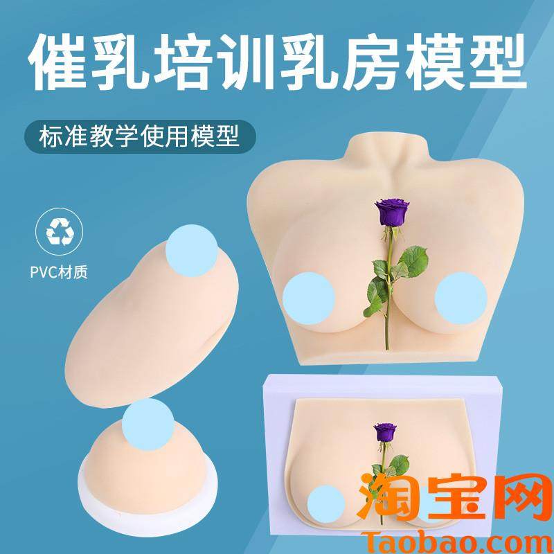 假乳义乳_女性i乳房模型_催乳师培训道具_哺乳教学模具催乳教育具,玩具/童车/益智/积木/模型,其他模型玩具,淘宝优惠券,粉丝福利购,淘宝优惠卷