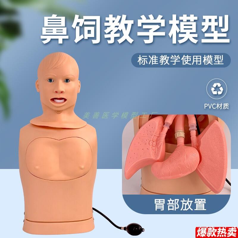 高级鼻饲模型鼻胃管与气管护理模型a吸痰插胃管喉管气管切开护理