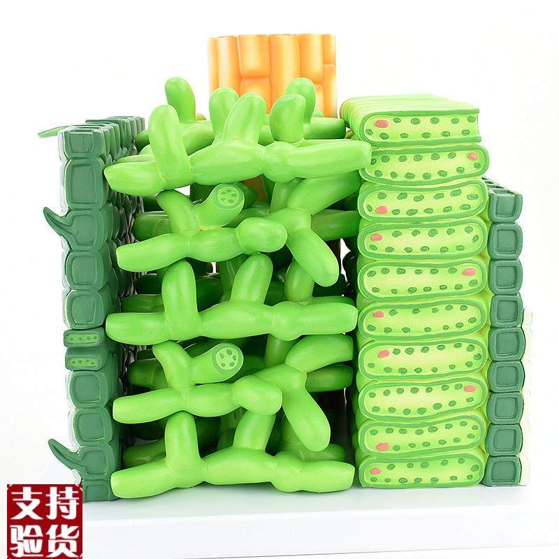 ENOVO颐诺双子子叶结构放大z模型植物学农业职业高职教学培训教,文具电教/文化用品/商务用品,教学标本/模型,淘宝优惠券,粉丝福利购,淘宝优惠卷