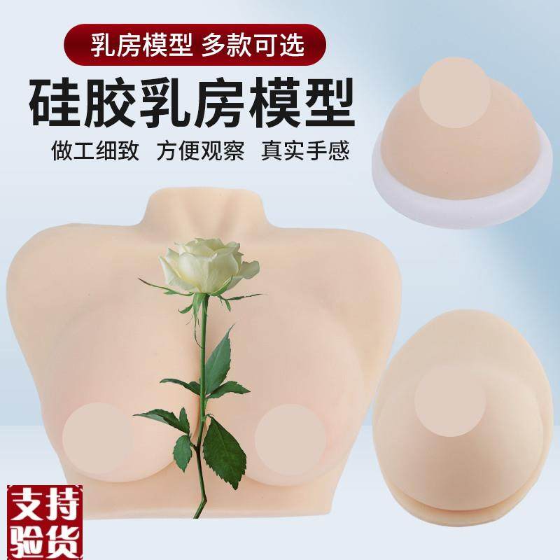 高级医学仿真女性乳房义乳假乳催乳师G培训教具哺乳教学纯硅胶模,玩具/童车/益智/积木/模型,其他模型玩具,淘宝优惠券,粉丝福利购,淘宝优惠卷